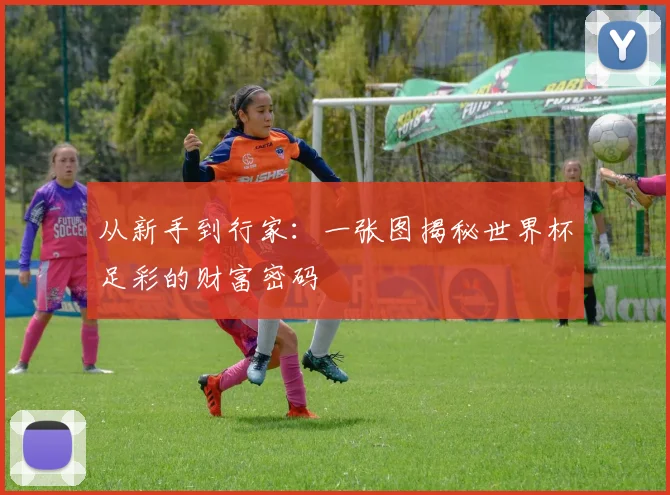 从新手到行家：一张图揭秘世界杯足彩的财富密码