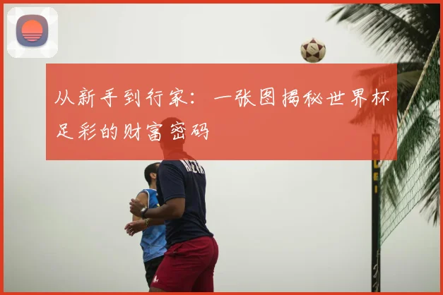 从新手到行家：一张图揭秘世界杯足彩的财富密码