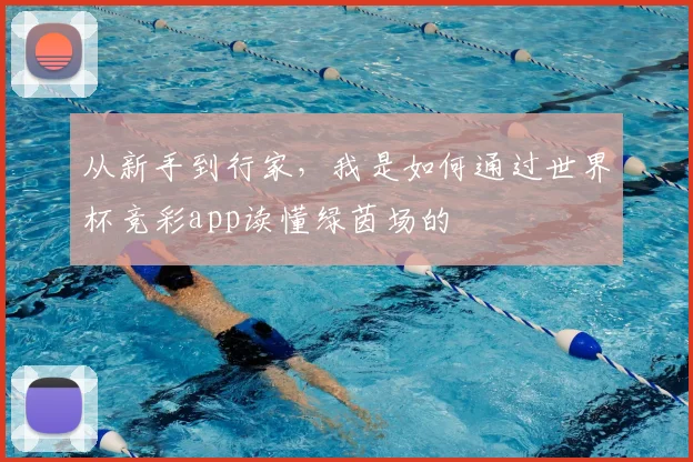 从新手到行家，我是如何通过世界杯竞彩app读懂绿茵场的