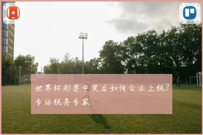 世界杯彩票中奖后如何合法上税？专访税务专家