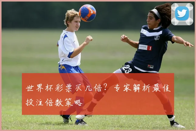 世界杯彩票买几倍？专家解析最佳投注倍数策略