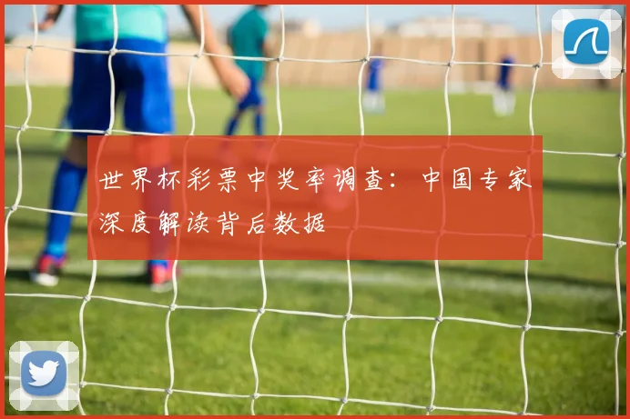 世界杯彩票中奖率调查：中国专家深度解读背后数据