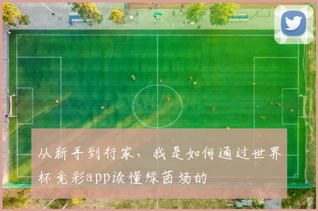 从新手到行家，我是如何通过世界杯竞彩app读懂绿茵场的