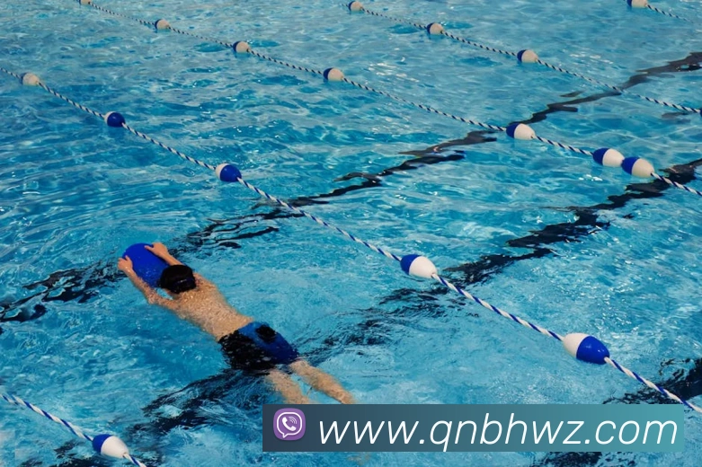 leyu乐鱼中国官方网站发展历程